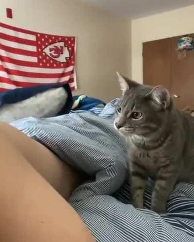 Did I say you could move?