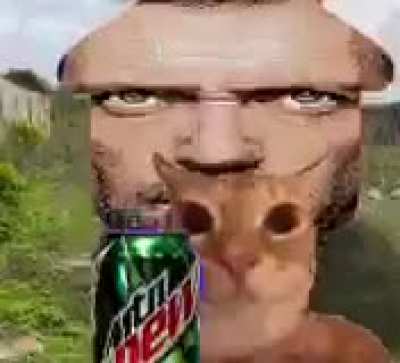 I don’t even know how to describe this