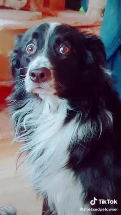 The wait lasted an eternity...