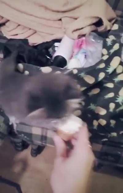 What a cute tiny death grip