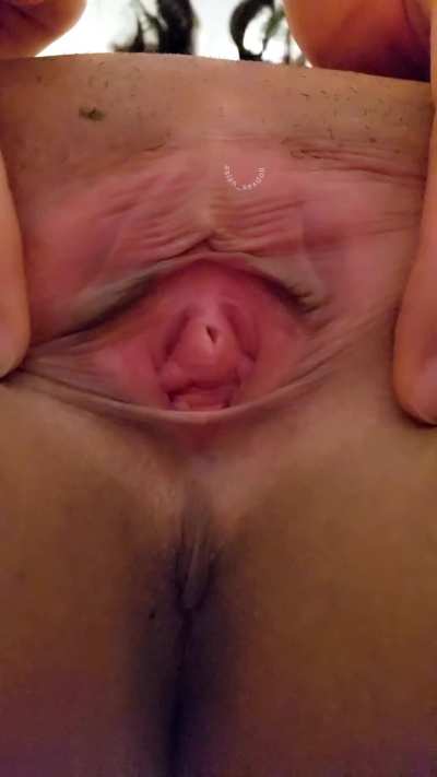 Pretty Sphynxxx