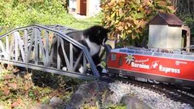 Bridge Toll Collector