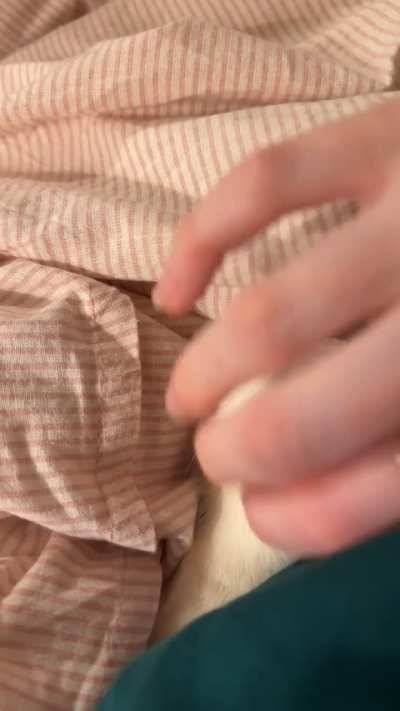 Tell my baby she’s pretty