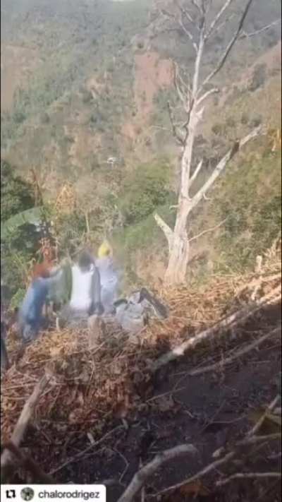 Tree felling on a cliff and not letting go when it falls.