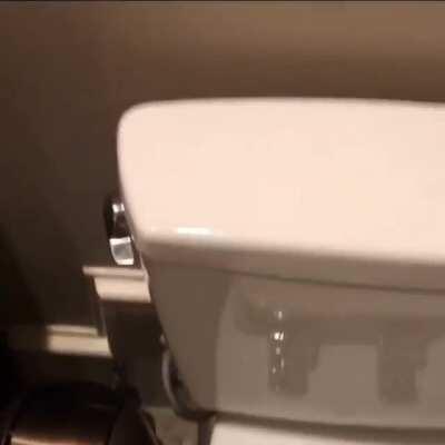 My friend made this and refused to post it on Reddit so go check him out and encourage him @clownball on insta