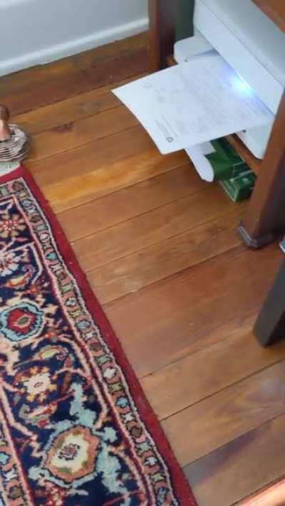 the audacity of the printer!