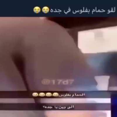 TMYLYL - Video #5254