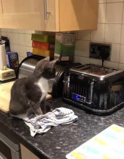 All around the country and coast to coast, People always say what do you like most? I don't wanna brag I don't wanna boast, I always tell 'em I like toast!