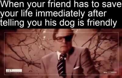 And I think it’s gonna be a long long time till I trust someone about their dog