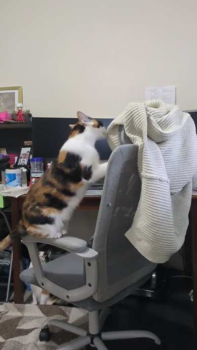 Getting on the chair the 