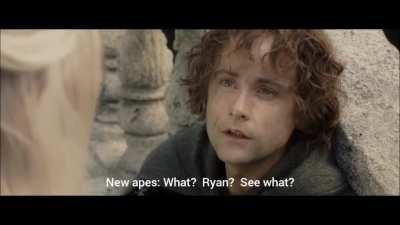 Don't worry new apes, everyone will make it through this, nobody is selling