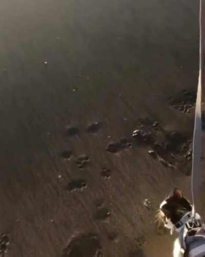 No. NO. No no. NOOO. GOD NO!