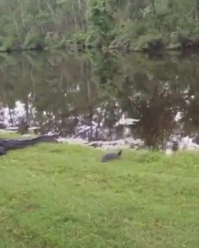 Опять закрытая фисташка