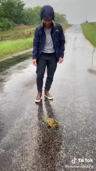 Massive frog spotted in Texas