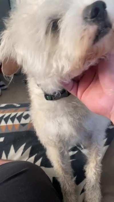 I’ll tell you when you’re done!