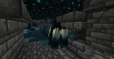 Could Someone tell me whats wrong with my warden