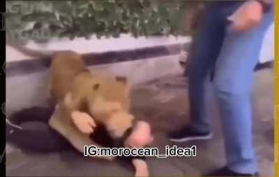 Itâs just a prank bro. The prank: