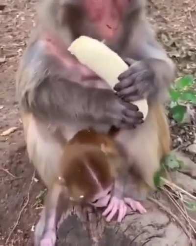 Just like us, he prefers his banana perfectly clean