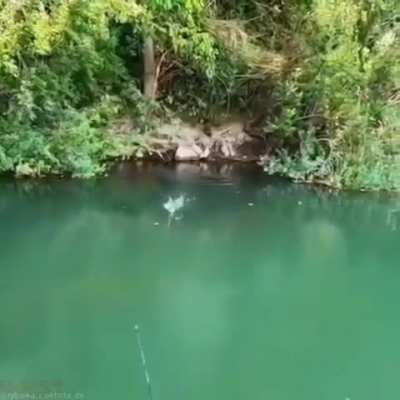 Oh FUCK, what a fantastic day for fishing!