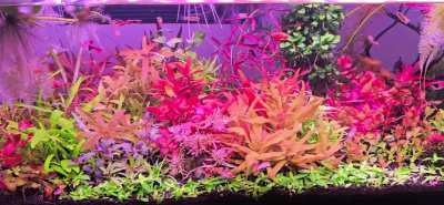 Pre-Maintenance On The 20 Long