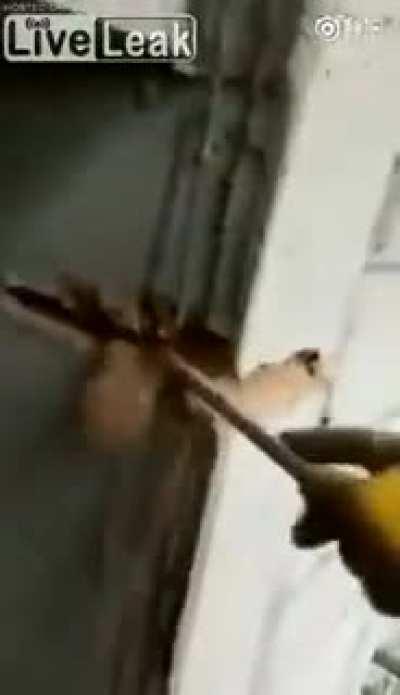 An actual skyscraper in China.