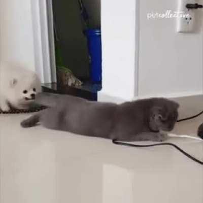 Полный игнор. Учитесь!