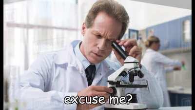 clam is love. clam is life.