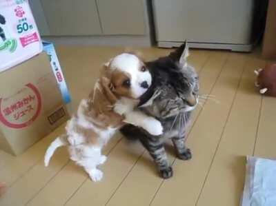 PUPpY FuCkING diEs FRoM bOreDOM