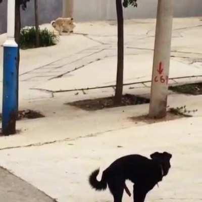 Me and your crush and you