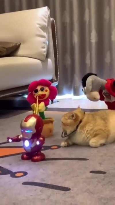 His ass is not feeling it