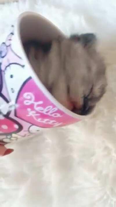 A forbidden smoothie