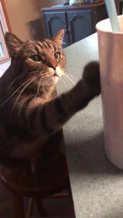 Must. Tap. Cup.