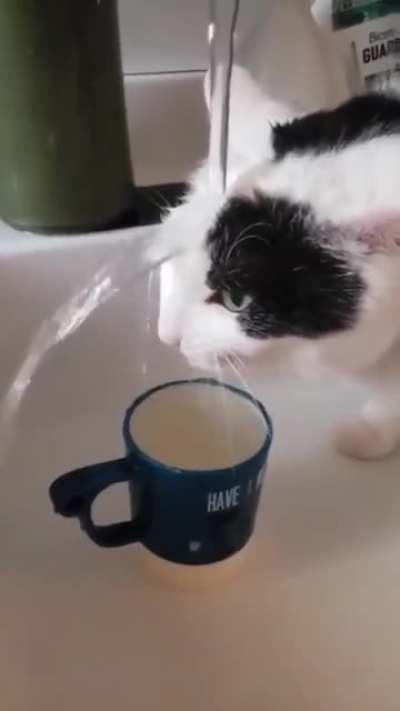 a strange way to quench your thirst