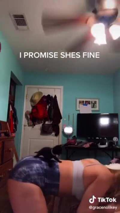 Phat ass in volleyball shorts, and a kitten