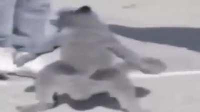 Channit - Video #9455