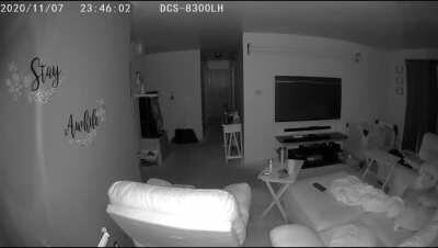 Please help I don’t know what this is. It was in my baby’s room but when I went to check nobody was there