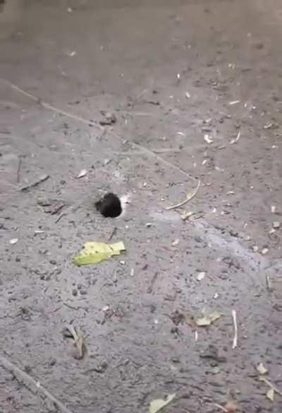Ukrainian soldiers inspecting an aftermath M30A1 alternative warheads shot by HIMARS/M270 with thousands of tungsten fragments on Russian R-149MA1 command and staff vehicle.