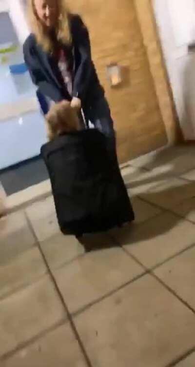 HMC while ride about in a suitcase