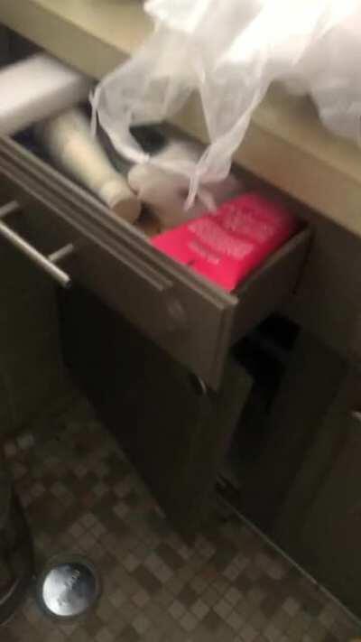 I have NO idea how she managed to get up there....