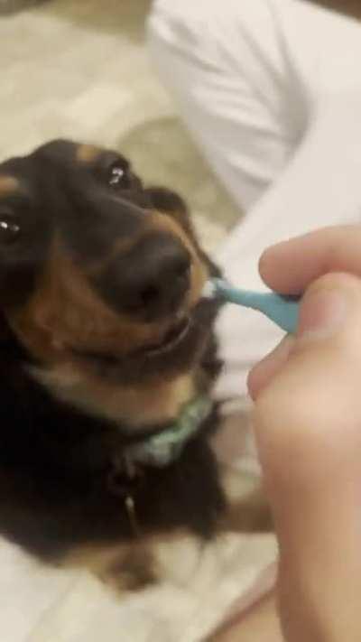 He’s a big fan of clean teeth