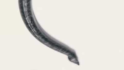 Loved Bir's part in 'Deewane' by Navaan Sandhu💟