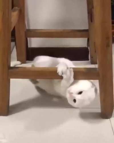 Your cush is comming, act natural