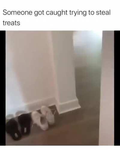 Thought you were sleeping?