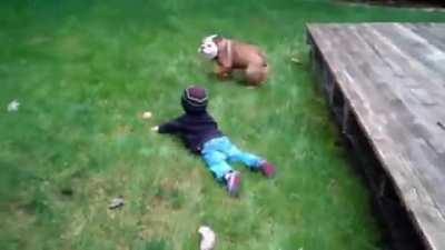 A Bulldog by a bulldog!!