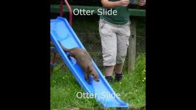 Otter Slide