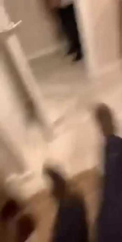 That's one way to get rid of your hamster