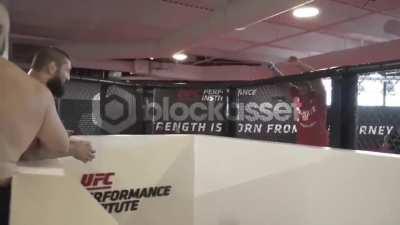 Curb your fight everyone