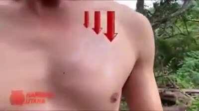 Самая быстрая рука во всей дикой Азии