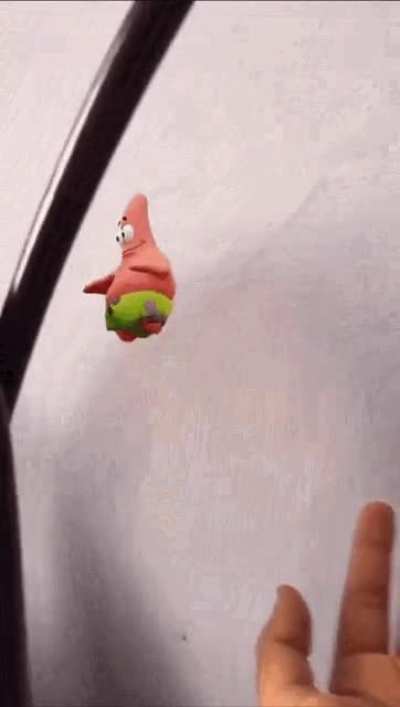 Pacxrick taken by the rapertoire