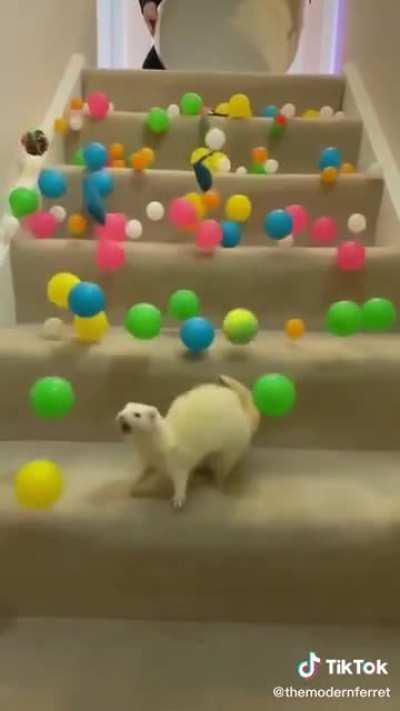DeAf FeRrEt GeTs CrUsHeD uNdEr FaLlIng RoCkS!!!11!!